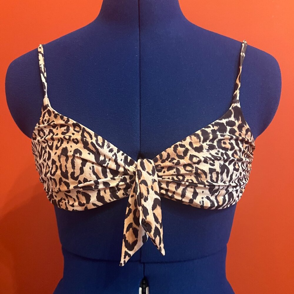 Melissa Odabash bikini top S4